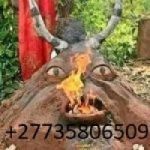 SUPER POWER ONLINE SPIRITUAL HERBALIST HEALER & FORTUNE TELLER +27735806509