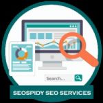 SEO services in CP by SEOSPIDY SEO company in connaughtplace