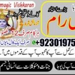 Magic expert famous indian astrologer 