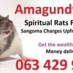 Instant money from spiritual rats | Money Spells in Soweto | Springs | Vereeniging +27634299958