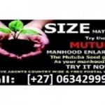 +27634299958 Penis Enlargement in Boksburg | Germiston | Springs | Ladysmith with Mutuba Seed 