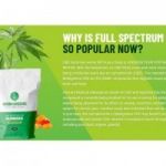 Medigreen CBD Gummies: #1 Trending Product, Reviews, Ingredients, Scam or legit?