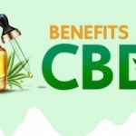 https://denzel-washington-cbd.jimdosite.com/