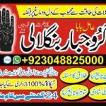 Amil Baba in Karachi +923048825000 Amil in Karachi  Amil Baba In Pakistan 