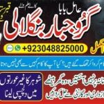 kala Jado Expert In Karachi sefli ilam no 1 Kala Jado Expert In Rawalpindi +92304-8825000