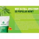 https://buddysupplement.com/medigreens-cbd-gummies/