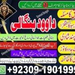 Top Best No 2 Kala ilam Specialist In Karachi Kala ilam Specialist In Faislabad +92309-1901999