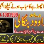 Top Best No 4 Kala ilam Specialist In Islamabad Kala ilam Specialist In Lahore +92309-1901999