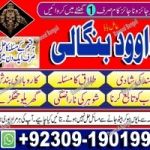 Top Best No 4 kala Jadu Expert In Karachi Kala Jadu Expert In Rawalpindi +92309-1901999