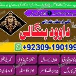 Top Best No 4 Black Magic Specialist In Karachi Black Magic Specialist In Rawalpindi +92309-1901999