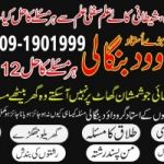 Top Best No 4 Black Magic Specialist In Peshwar Black Magic Specialist In Faislabad +92309-1901999