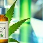 The Ultimate Revelation Of Holland And Barrett CBD Oil UK.