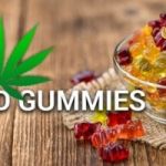 https://ipsnews.net/business/2021/11/23/tranquileafz-cbd-gummies-canada-cost-review-pros-cons-buy/