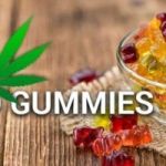 Top 25 Quotes On KATIE COURIC CBD GUMMIES REVIEWS