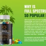 https://ipsnews.net/business/2021/12/23/bolt-cbd-gummies-reviews-real-or-hoax-shocking-price-shark-tank-and-side-effects-explained-2021/