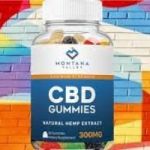 Montana Valley CBD Gummies Side Effects?