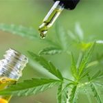 https://canna-verde-cbd-oil.wixsite.com/cannaverdecbdoil