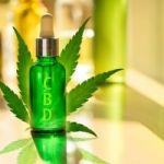 https://mayim-bialik-cbd-oil.jimdosite.com/