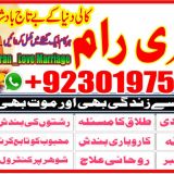 Famous and big astrologer or black magic removal 