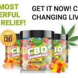 https://www.benzinga.com/press-releases/21/03/wr20417160/smilz-cbd-gummies-customer-reviews-scam-alert-read-this-before-buy