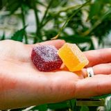 http://lewis-hamilton-cbd-gummies.moonfruit.com/ 