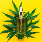 https://kamala-harris-cbd-oil.jimdosite.com/