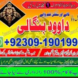 Top Best No 2 Black Magic Specialist Islamabad Black Magic Specialist In Lahore +92309-1901999