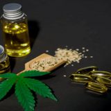 How much does Bulk CBD Oil cost?