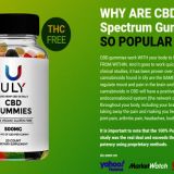 How would I utilize Uly CBD Gummies?