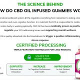 Daily Health CBD Gummies