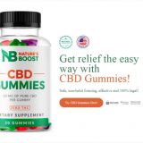 Nature’s Zen CBD Gummies