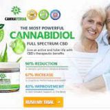  How Does Cannaverda CBD Gummies Work?