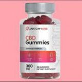 Anatomy One CBD Gummies, Work, Ingredients, Price & Side Effects [Updated 2023]