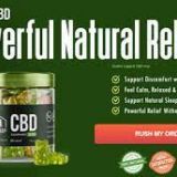 Evergreen CBD Gummies For Tinnitus Relief, Daily Stress & Avoid Smoking