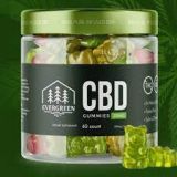 Evergreen CBD Gummies For Tinnitus Relief, Daily Stress & Avoid Smoking