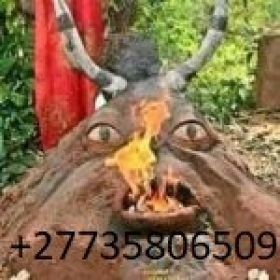 QUEEN OF INTERNATIONAL SPIRITUAL HERBALIST HEALERS &amp; TRADITIONAL HEALERS +27735806509