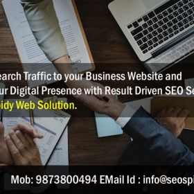 Hire SEO Provider Company to increase digital web presence for small business enterprises in Delhi NCR India