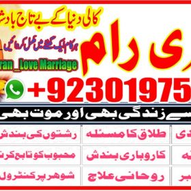 Famous and big astrologer or black magic removal 