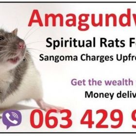 Quick Money Spell casters in pretoria, Canada, Uk, USA with spiritual rats amagundwane call +27634299958