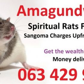 Best Money Spell in Cape Town | Kuruman | Bellville | Polokwane from Best Sangoma +27634299958