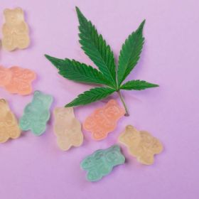 https://www.homify.in/projects/1049238/lisa-laflamme-cbd-gummies-canada