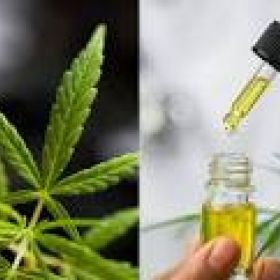 https://www.facebook.com/Orchard-Acres-CBD-Oil-108744778281026