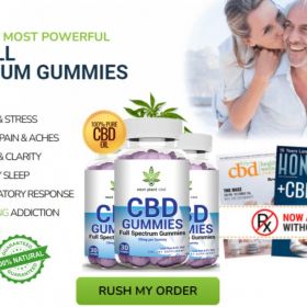 15 Things That You Never Expect On Next Plant CBD Gummies.