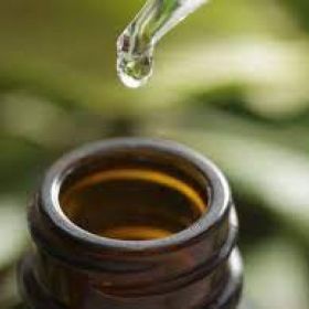 Test @ https://whole-leaf-cbd-oil.company.site/