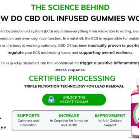 Daily Health CBD Gummies