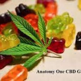 Anatomy One CBD Gummies, Work, Ingredients, Price &amp; Side Effects [Updated 2023]