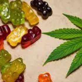 Anatomy One CBD Gummies, Work, Ingredients, Price &amp; Side Effects [Updated 2023]