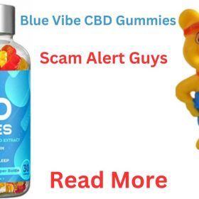 Blue Vibe CBD Gummies vs. Soothe Zen CBD: Which Gummies Are a Better Fit for You?