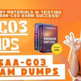 Top-Rated SAA-C03 Exam Dumps for AWS Certification Excellence