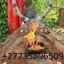 QUEEN OF INTERNATIONAL SPIRITUAL HERBALIST HEALERS & TRADITIONAL HEALERS +27735806509